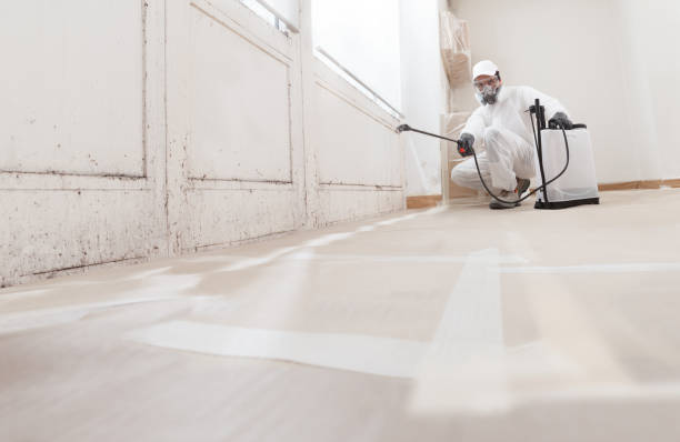 24/7 Emergency Mold Testing experts in Rocky Mount, NC